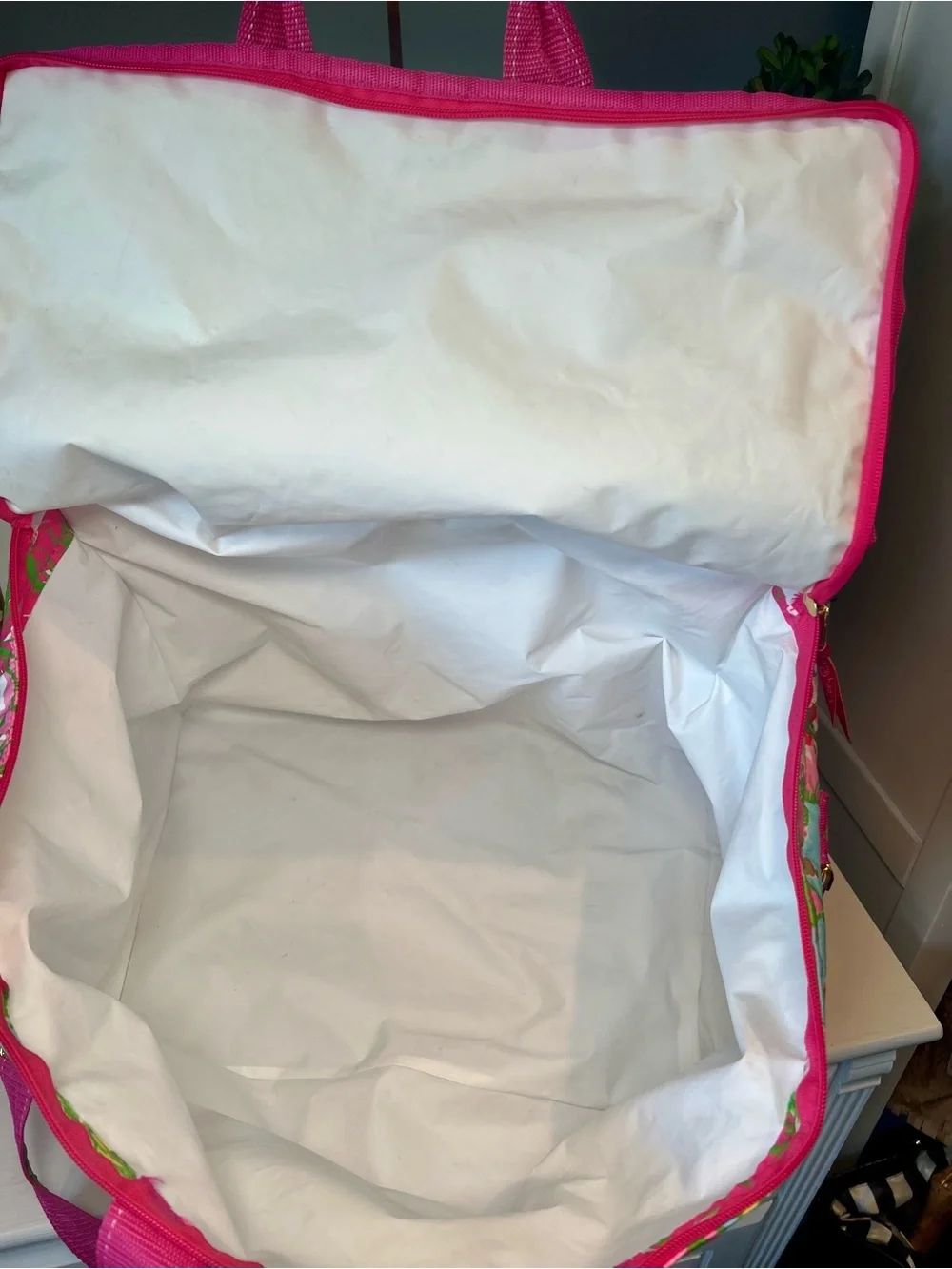 Lilly Pulitzer Insulated Cooler in the 